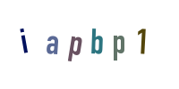 Код с картинки